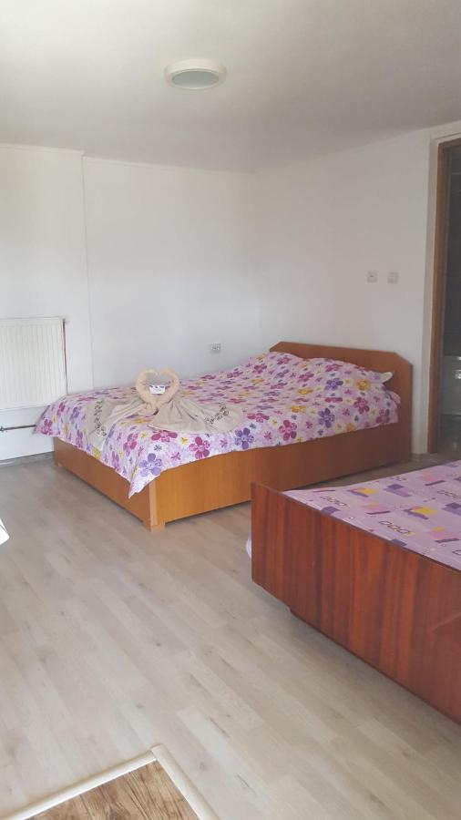 Casa Rariana Hotel Călimăneşti Eksteriør billede