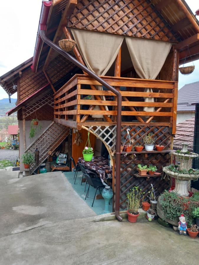 Casa Rariana Hotel Călimăneşti Eksteriør billede